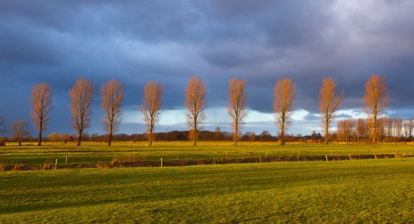 1302M5_2556.JPG