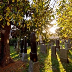 Jüdischer Friedhof Weseler Straße