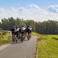 Radfahrer auf Deichkronenradweg