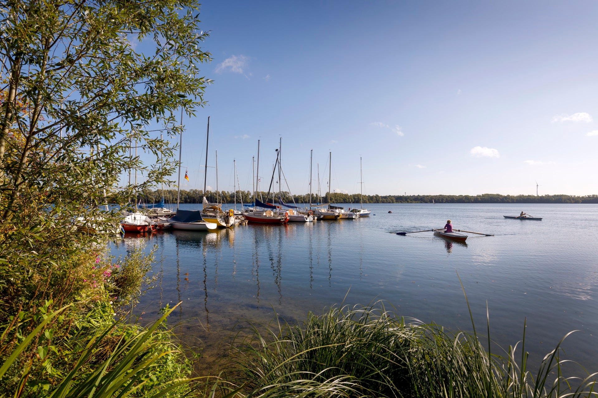 Reeser Meer Reeser Meer