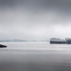 Rheinansicht bei Nebel