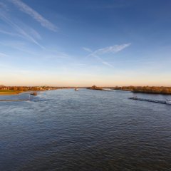 Rhein bei Rees