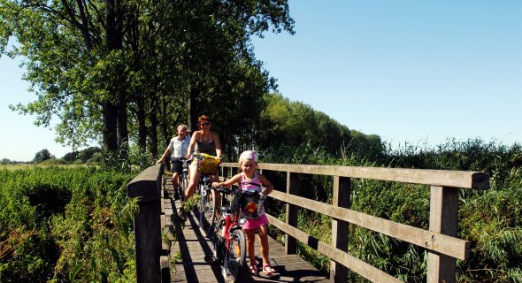 Fahrradfahrer_auf_der_Hetterbruecke.JPG