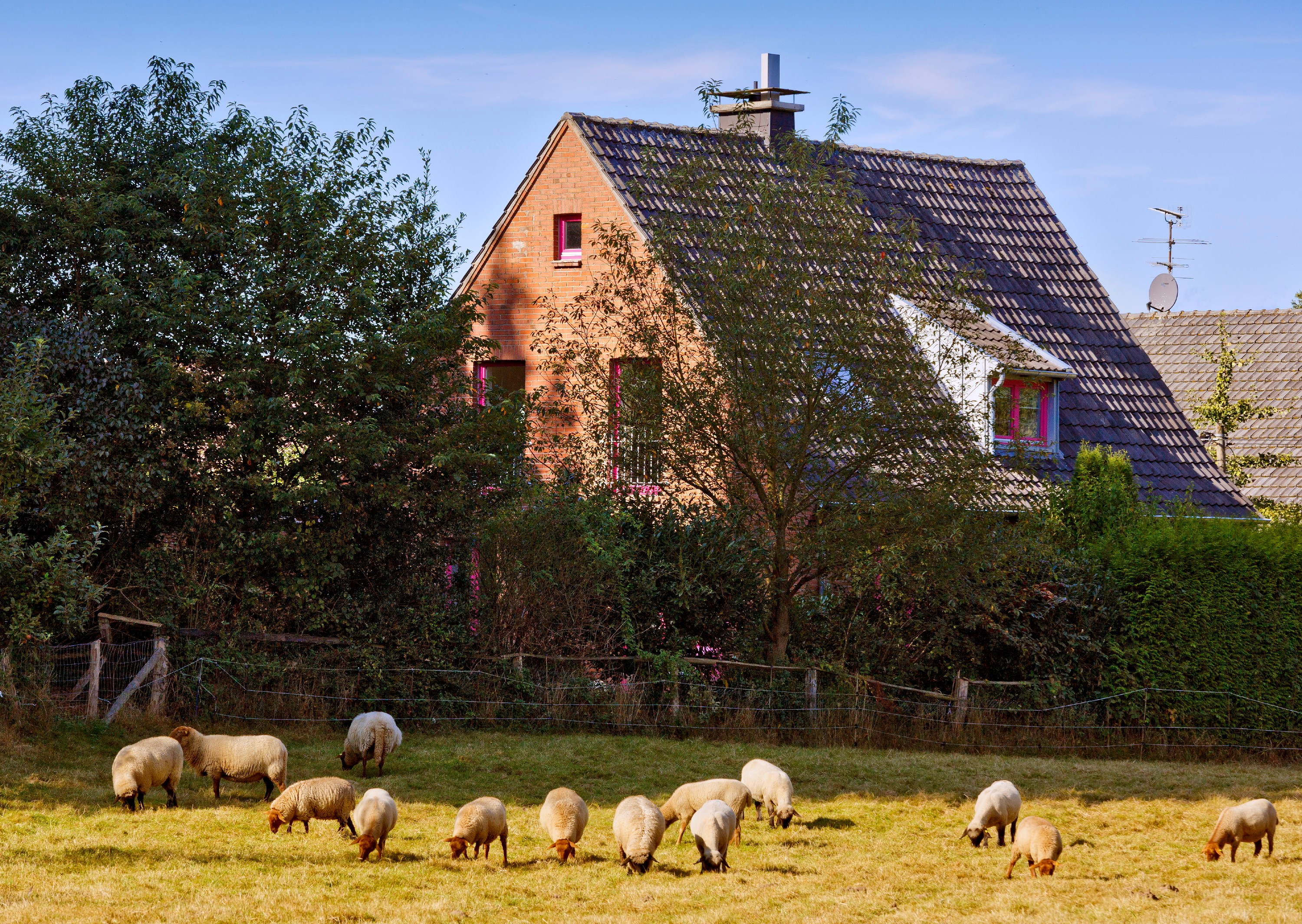 Ferienwohnung Bunte Idylle.jpg