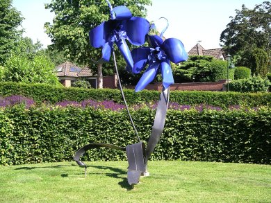 Delfinium ferro -4 (Logister).JPG