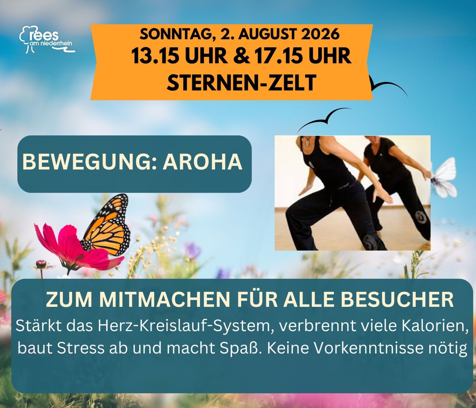 2026 Sommer Markt - LED-Programm-Leinwand