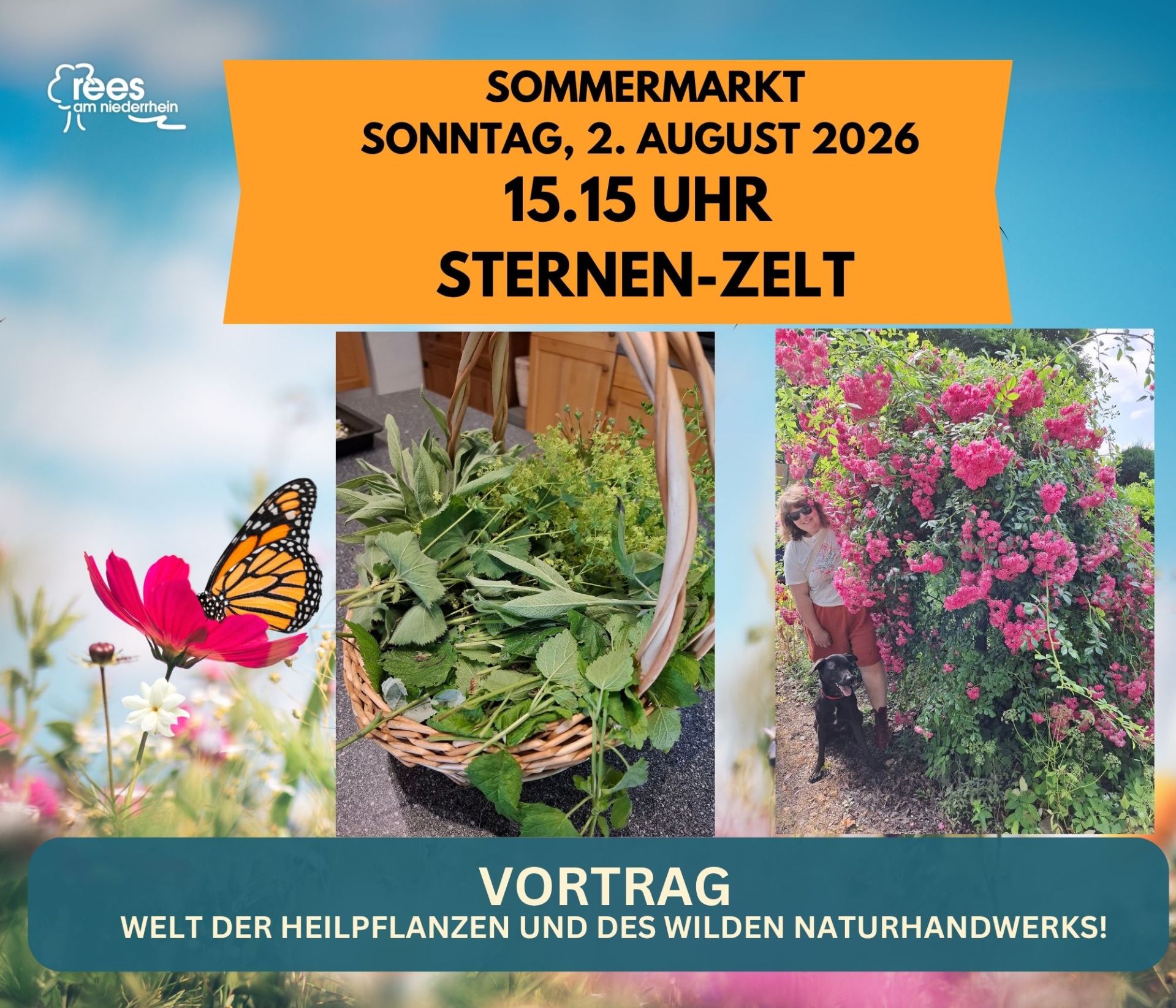 2026 Sommer Markt - LED-Programm-Leinwand