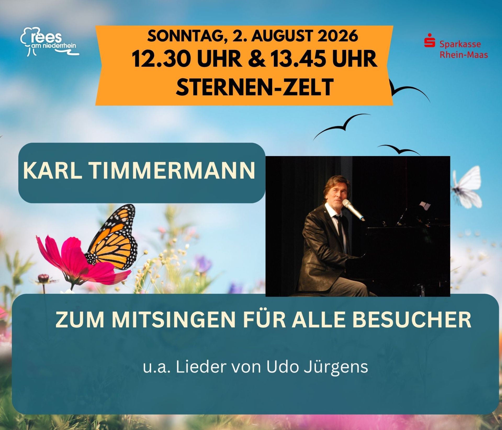 2026 Sommer Markt - LED-Programm-Leinwand (2)